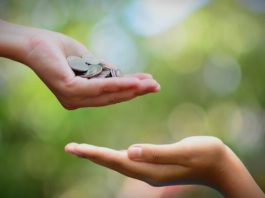 7 Ways to Earn Continual Rewards from Charity – Sadaqah Jariyah